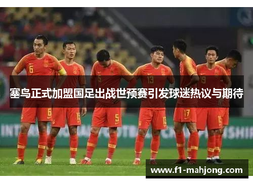 塞鸟正式加盟国足出战世预赛引发球迷热议与期待 塞鸟正式加盟国足出战世预赛引发球迷热议与期待